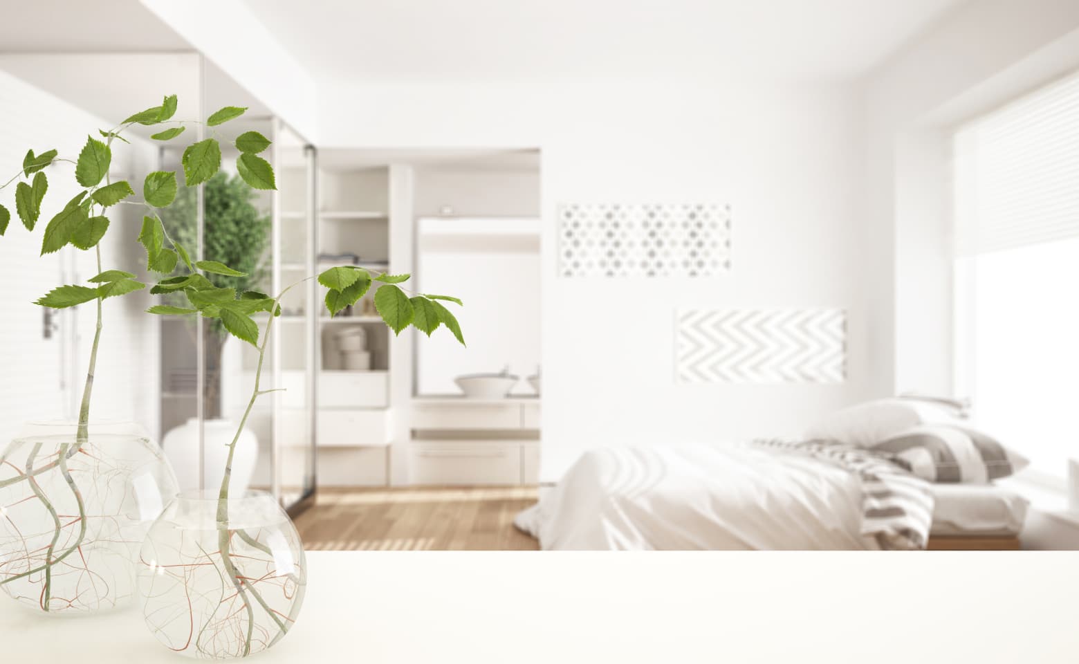 奥に洗面台が見える寝室と植物